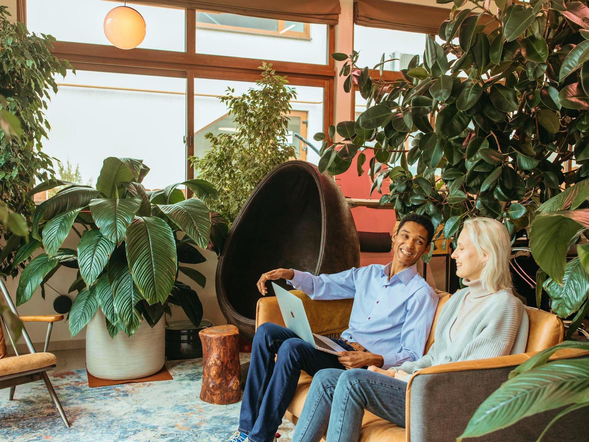 Two people in a bright, plant-filled space with a laptop