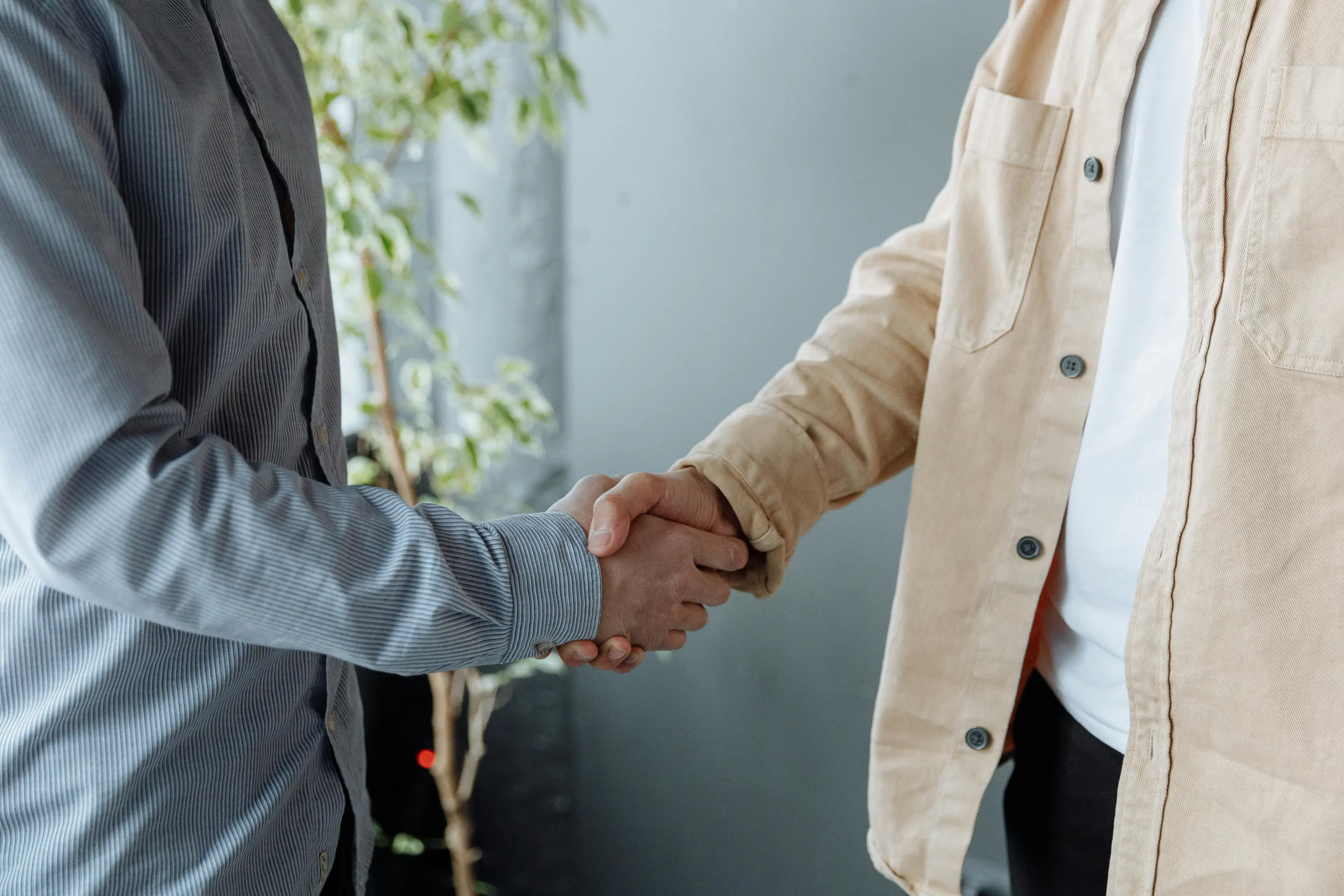 Two people shaking hands, partnership